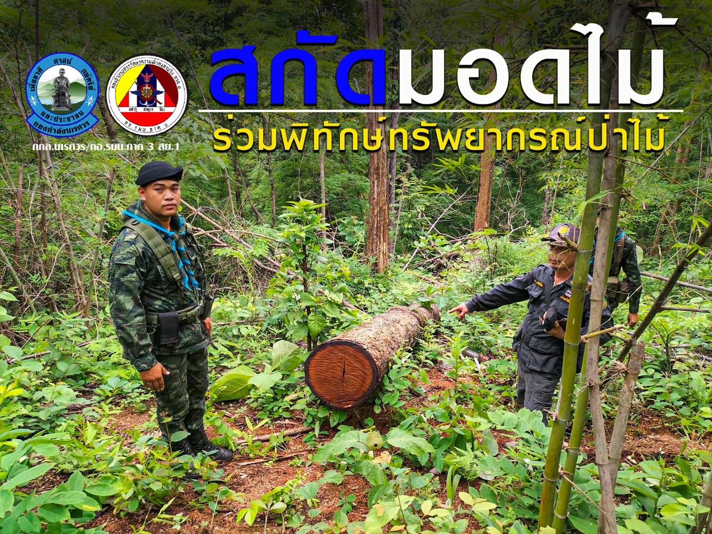 “ สกัดมอดไม้ทำลายผืนป่า ร่วมพิทักษ์ทรัพยากรป่าไม้ ”